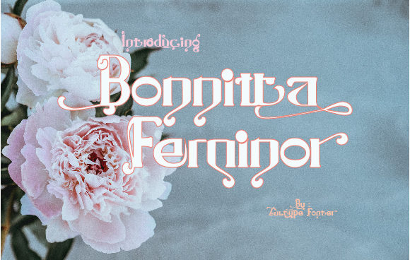 Bonnitta Feminor: Elegant Display Font
