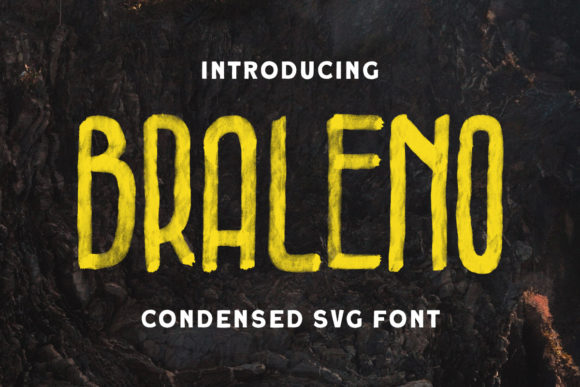 Braleno: A Neat Display Font for Business Branding
